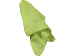 REZI Rezi Mikrofaser-Universaltuch 300g grün – Produktbild 1 von 1