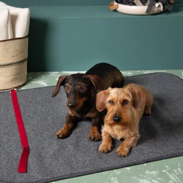 nahtur-design nahtur-design Hundematte | 100% Schurwolle Loden | 3 Größen, Grau, – Produktbild 1 von 4