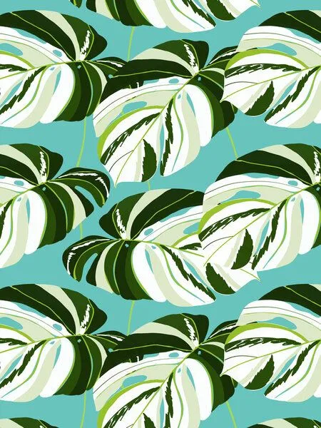 Photocircle Photocircle Poster / Leinwandbild - Summer Monstera II – Produktbild 1 von 4