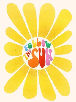 Photocircle Photocircle Poster / Leinwandbild - Follow The Sun – Produktbild 1 von 1