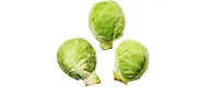 Niederlande Rosenkohl – Produktbild 1 von 1