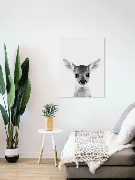 Photocircle Photocircle Poster / Leinwandbild - Fawn – Produktbild 4 von 8