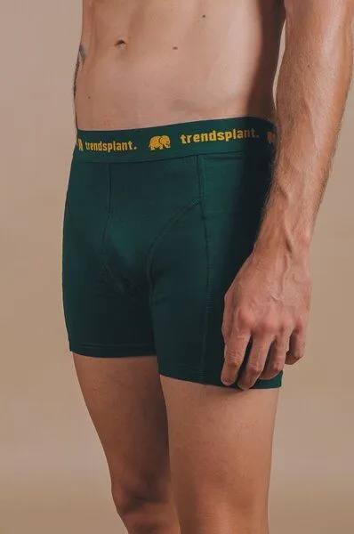 Trendsplant Trendsplant Organic Essential Boxer Briefs Green, Grün, – Produktbild 2 von 4