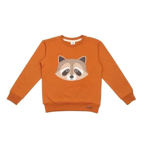 Walkiddy Walkiddy Pullover-Sweatshirt aus Baumwolle (Bio), Braun, – Produktbild 1 von 2