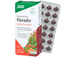 Salus Salus Floradix-Kräuterblut "Eisen Folsäure", 42 g – Produktbild 1 von 1