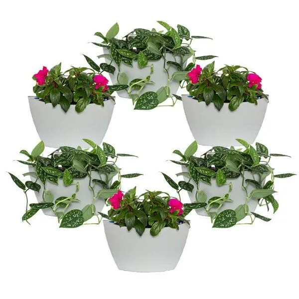 CitySens CitySens 6er-Pack Wand-Blumentopf mit automatischer Bewässerung, Gris, – Produktbild 1 von 3