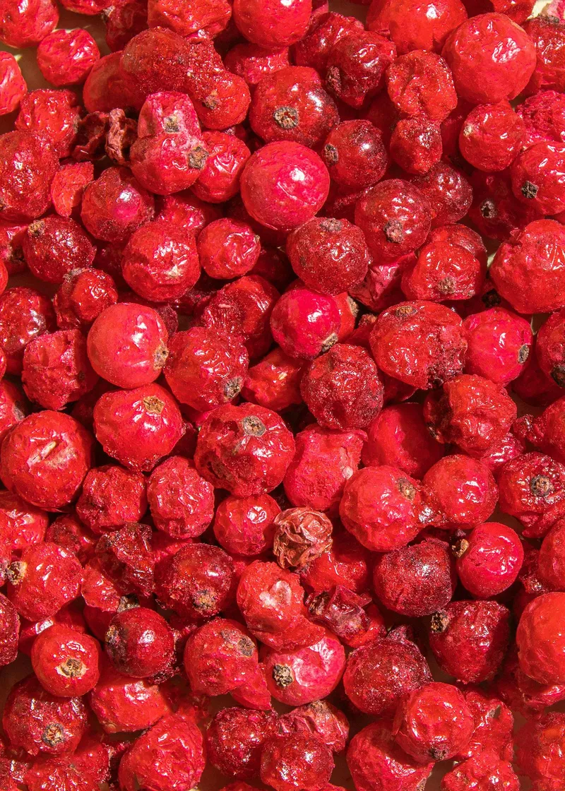 KoRo Gefriergetrocknete rote Johannisbeeren 500 g – Produktbild 2 von 5