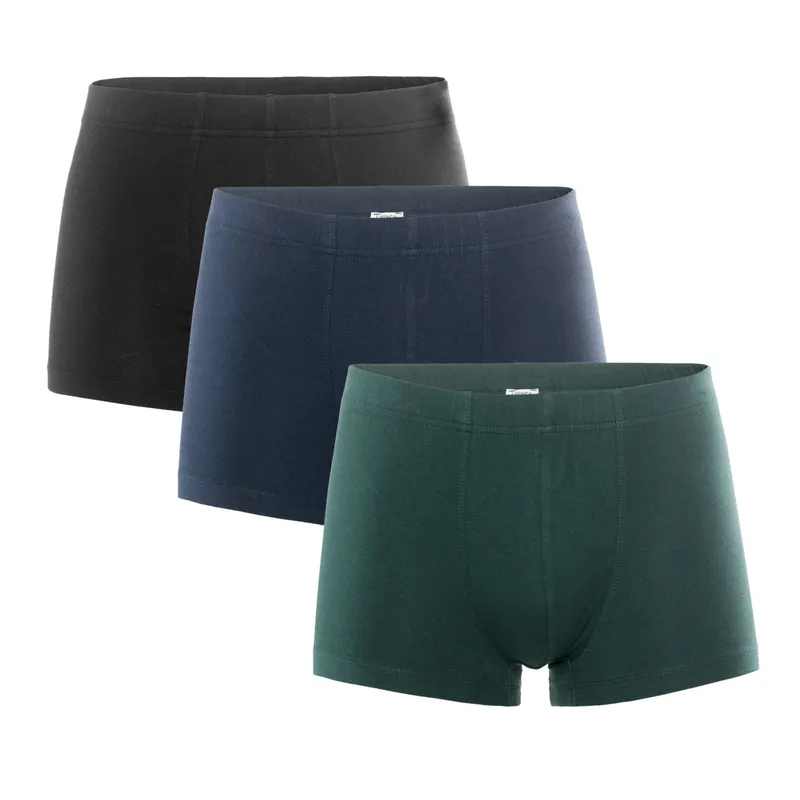 Living Crafts Living Crafts - Herren Pants, 3er-Pack (95% Bio-Baumwolle; 5% Elasthan), Mehrfarbig, – Produktbild 8 von 8