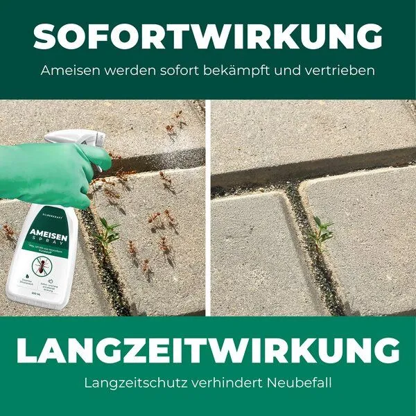 Silberkraft Silberkraft Anti Ameisen Spray – Produktbild 4 von 4