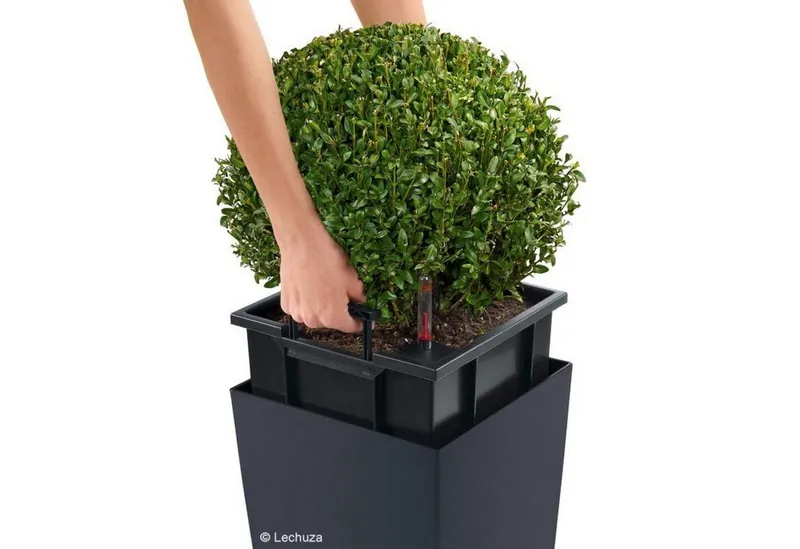 Lechuza® Lechuza® Pflanzkübel Pflanzgefäß Cubico Color 30 weiß (Komplettset), Weiß, – Produktbild 6 von 6