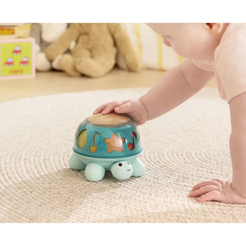 Hape Hape Musik-Schildkröte, Blau, – Produktbild 3 von 3