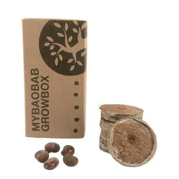 Maishameanslife Maishameanslife Baobab Samen - Growbox - Lebensbaum zum Selber pflanzen – Produktbild 1 von 1