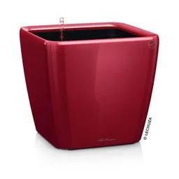Lechuza® Lechuza® 'Quadro LS 50', scarlet-rot, ca. 50 x 50 x H 46,5 cm – Produktbild 1 von 1