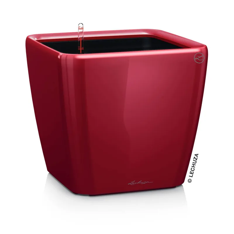 Lechuza® Lechuza® 'Quadro LS 50', scarlet-rot, ca. 50 x 50 x H 46,5 cm, Rot, – Produktbild 1 von 1