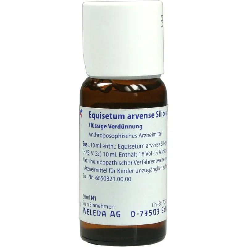 Weleda WELEDA EQUISETUM ARVENSE Silicea cultum D 2 Dilution 50 ml Dilution – Produktbild 1 von 1