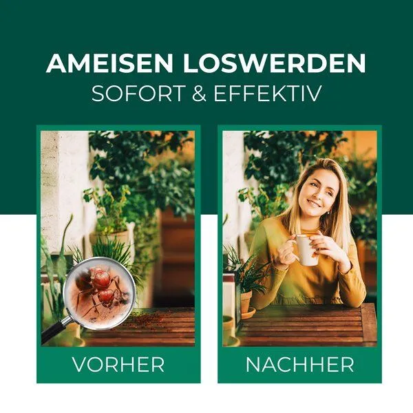 Silberkraft Silberkraft Anti Ameisen Spray – Produktbild 2 von 4