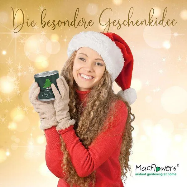 MacFlowers Weihnachtsbaum in der Dose - Merry Christmas Grün von MacFlowers – Produktbild 5 von 6