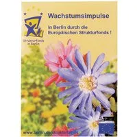 Bio Samentütchen 'Ringelblume' mit 1-4 farbigem individuellem Aufdruck – Produktbild 1 von 1