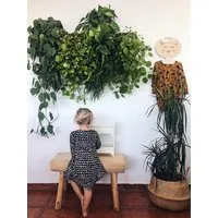 CitySens CitySens 6er-Pack Wand-Blumentopf mit Textilbezug – Produktbild 1 von 1