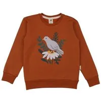 Walkiddy Kinder Sweatshirt GOTS-zertifiziert aus Bio-Baumwolle, braun mit Vogelmotiv, langarm, weicher Rundhalsausschnitt – Walkiddy, bequem & hautfreundlich – Produktbild 1 von 1