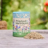 Die Stadtgärtner Die Stadtgärtner Friedvoll & Verträumt I Blumenmischung und Samenmischung I Streuwiese I Geschenk für Gärtner und Naturfreunde – Produktbild 1 von 1