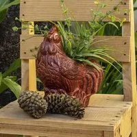 Mitienda Shop Mitienda Shop Blumentopf aus Ton Hahn indoor & outdoor – Produktbild 1 von 1