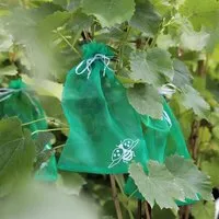 Andermatt Biogarten Andermatt Biogarten Trauben-Schutztaschen – Schutzbeutel gegen zufliegende Insekten und Vogelfraß an Trauben – Produktbild 1 von 1
