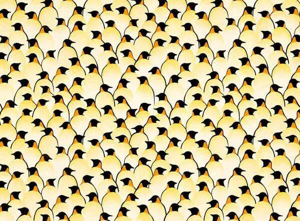 Photocircle Photocircle Poster / Leinwandbild - Pinguine – Produktbild 2 von 4