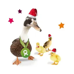 OxfamUnverpackt OxfamUnverpackt Spenden-Geschenk "Entenfamilie" (Weihnachtskarte mit Magnet) – Produktbild 1 von 1