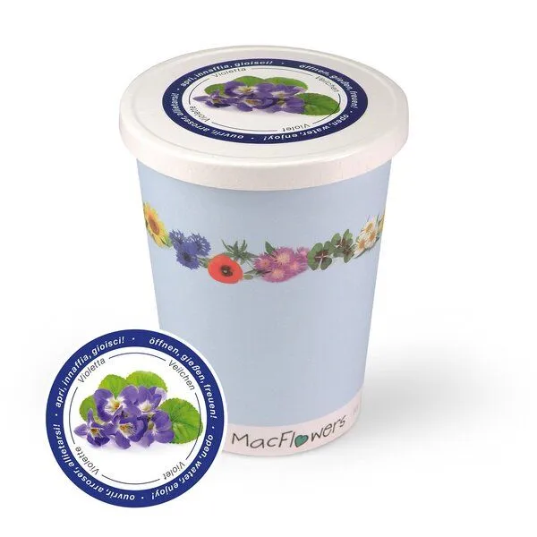 MacFlowers MacFlowers Blumen im Becher TO GROW, Veilchen, – Produktbild 1 von 3