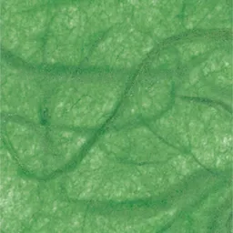 folia folia Faserseide 47x64cm Hellgrün – Produktbild 1 von 1