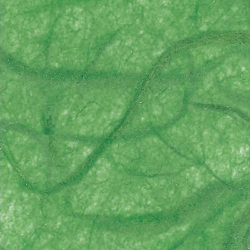 folia folia Faserseide 47x64cm Hellgrün, Hellgrün, – Produktbild 1 von 1
