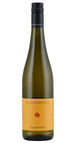 Weingut Pfannebecker Weingut Pfannebecker Pfannebecker Sauvignon Blanc 2025 – Produktbild 1 von 1