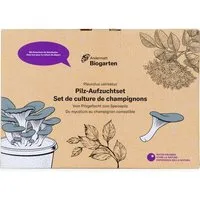 Andermatt Biogarten Andermatt Biogarten Pilz-Aufzuchtset - Natur hautnah erleben – Welt der Pilze – Produktbild 1 von 1
