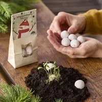 Die Stadtgärtner Die Stadtgärtner Schneemannbäuche - Weiße Blumenmurmeln – Produktbild 1 von 1