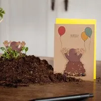 Die Stadtgärtner Die Stadtgärtner Hurra! - Grußkarte mit Maulwurf-Motiv und Blumensamen zum Einpflanzen – Produktbild 1 von 1