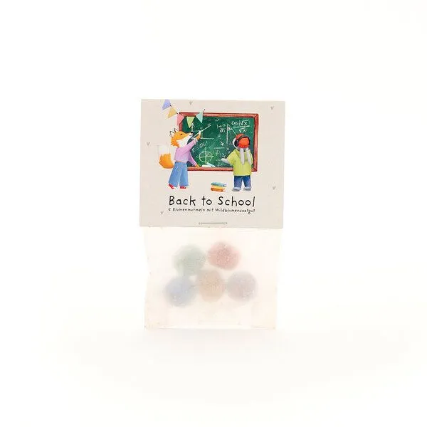 Die Stadtgärtner Die Stadtgärtner Blumenmurmeln zum Schulstart "Tafel" | 5 bunte Blumenmurmeln im Pergamintütchen (ca. 10 x 5 cm) | mit niedlichem, kindgerechten Motiv | Kreative Geschenkidee für Kinder, Schule & Schulalltag – Produktbild 1 von 1