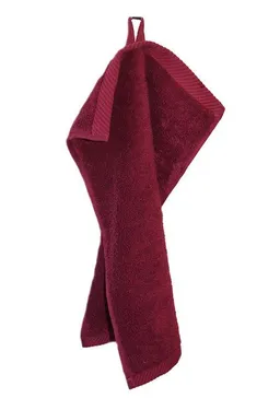 ege organics ege organics 2 Stück Gästetuch Handtuch Bio-Baumwolle 30X50cm 600gr/m² – Produktbild 1 von 1