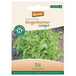 Bingenheimer Saatgut Eichblattsalat Till – Produktbild 1 von 1